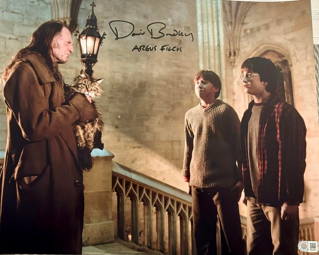 David Bradley Signed 16x20 Photo (Harry Potter) - SWAU